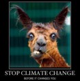 /album/photogallery/donkey-climate-change-jpg1/